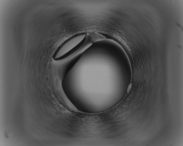 X0000093120673200709261328