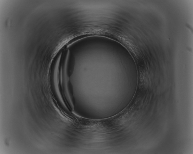X0000093120674200709261328