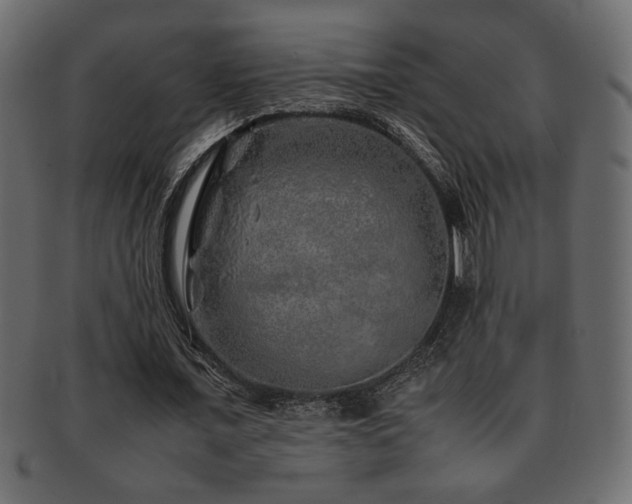 X0000093120675200709261328
