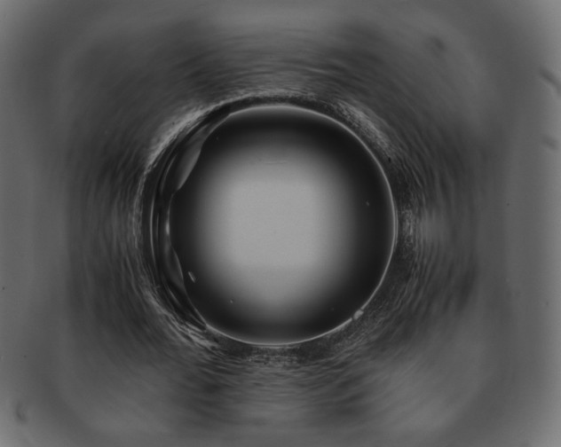 X0000093120676200709261328