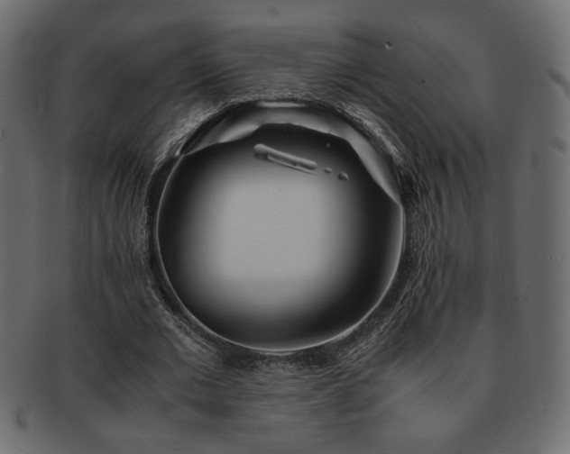 X0000093120677200709261328