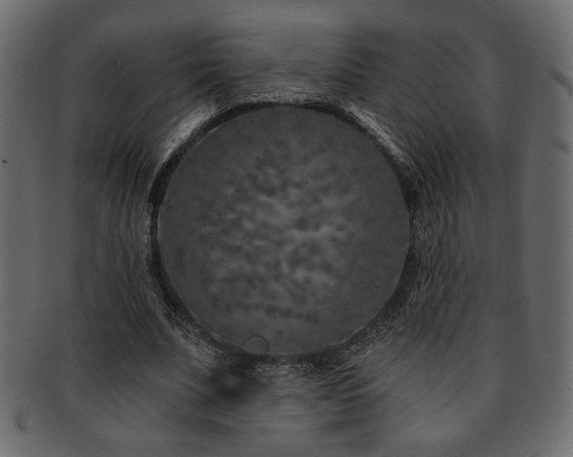 X0000093120679200709261328
