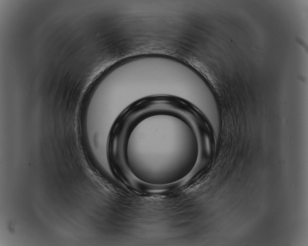 X0000093120680200709261328