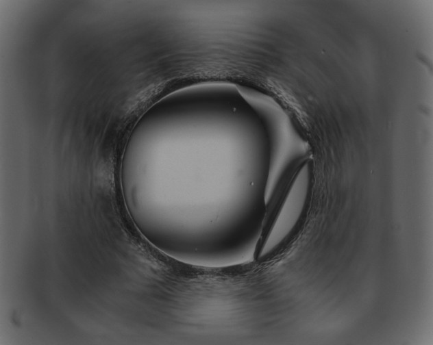 X0000093120681200709261328