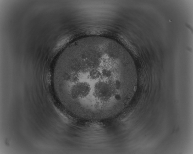 X0000093120683200709261328