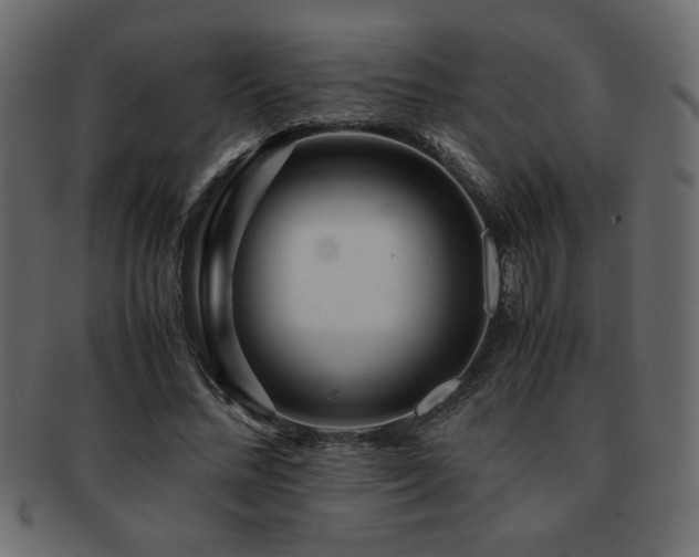 X0000093120684200709261328