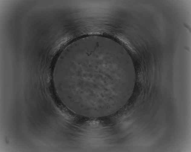X0000093120687200709261328