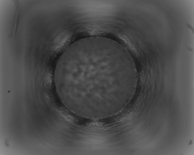 X0000093120691200709261328