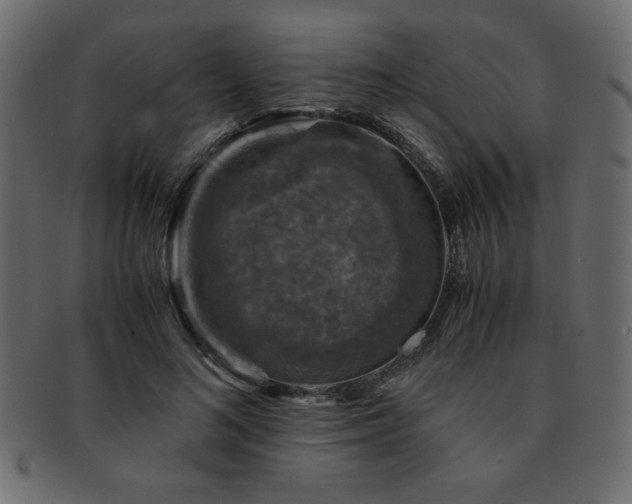 X0000093120692200709261328