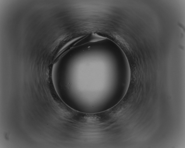 X0000093120693200709261328