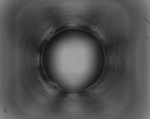 X0000093120694200709261328