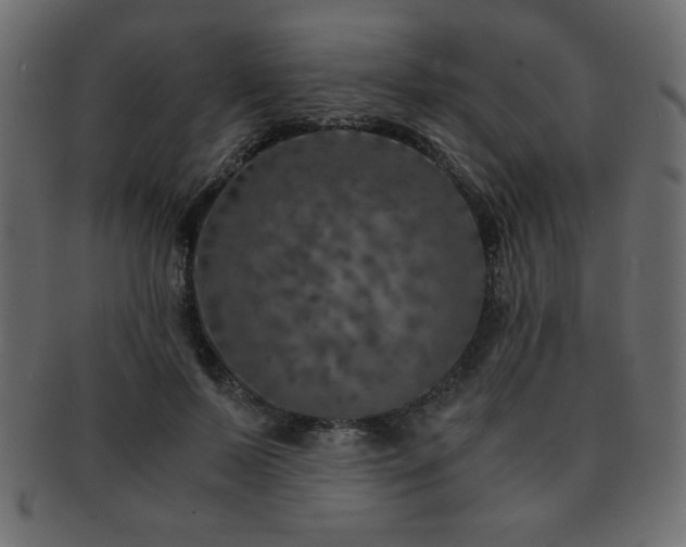 X0000093120695200709261328