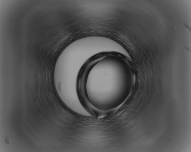 X0000093120697200709261328