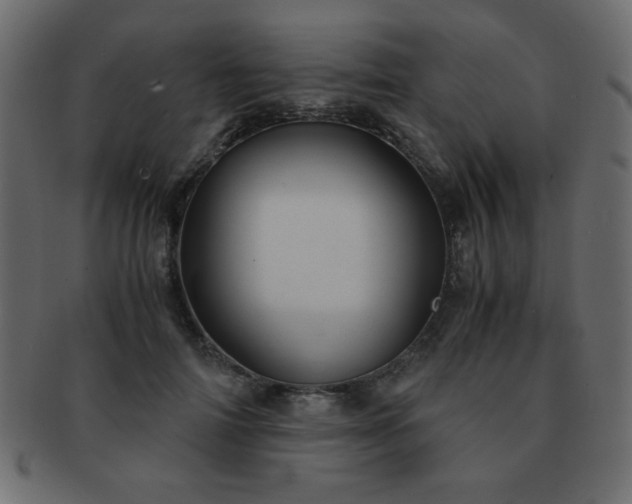 X0000093120698200709261328