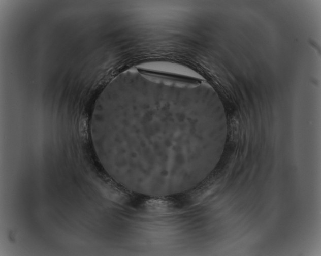 X0000093120699200709261328