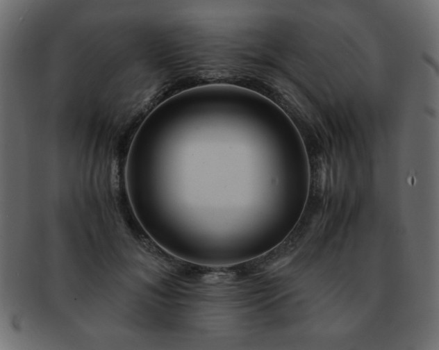 X0000093120700200709261328