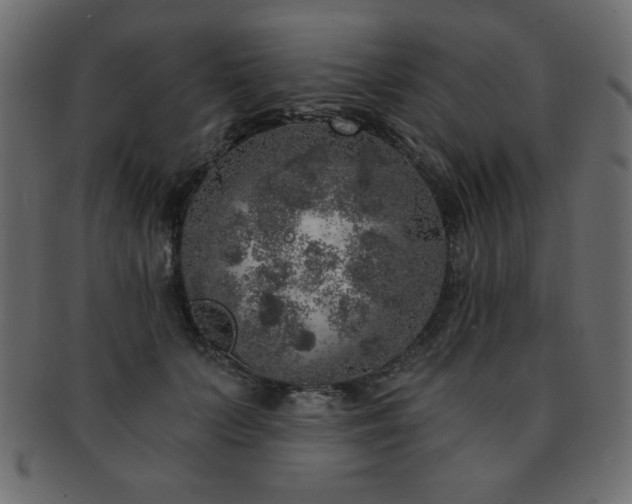 X0000093120703200709261328