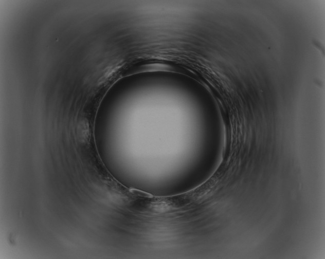X0000093120704200709261328