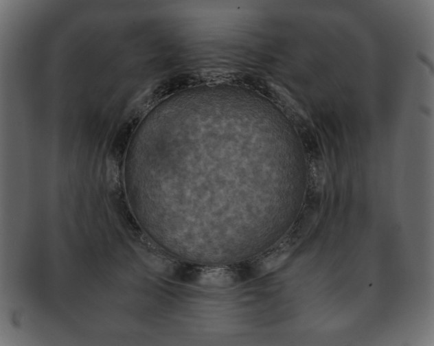 X0000093120705200709261328