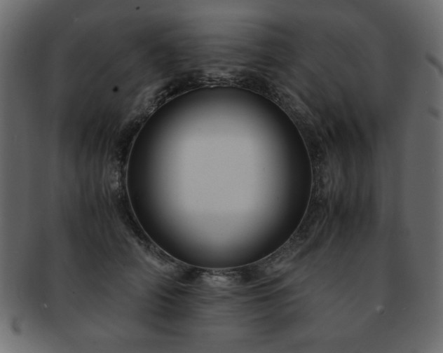 X0000093120706200709261328