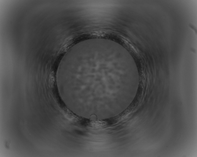 X0000093120707200709261328