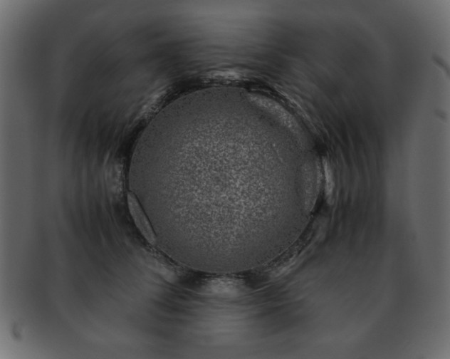 X0000093120708200709261328