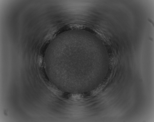 X0000093120709200709261328