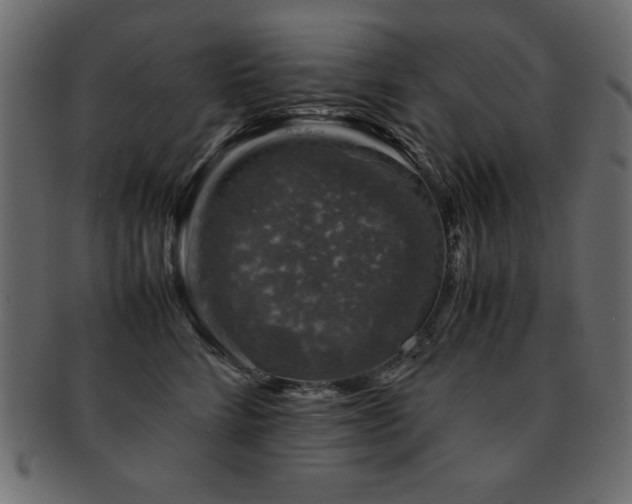 X0000093120712200709261328
