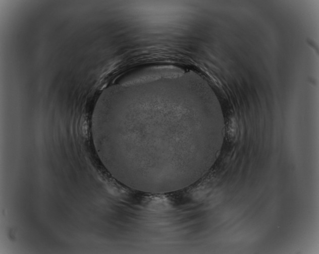 X0000093120715200709261328