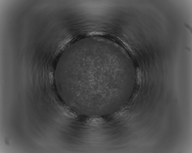 X0000093120716200709261328