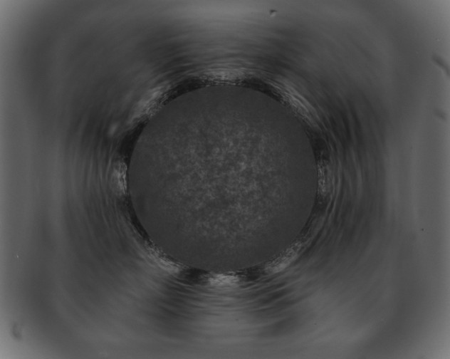 X0000093120718200709261328