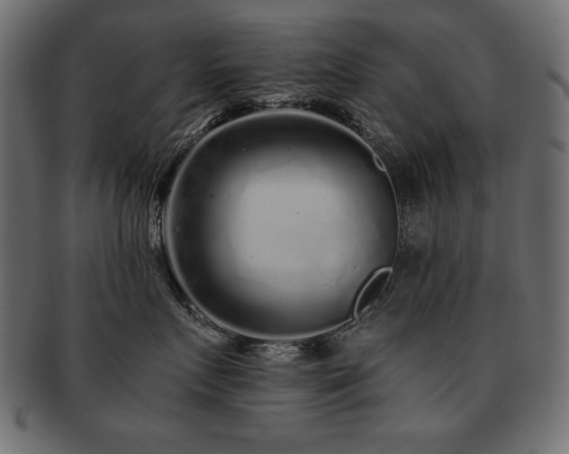 X0000093120719200709261328