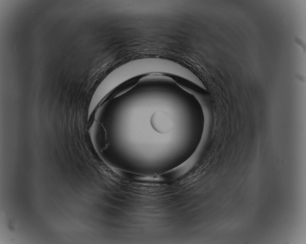 X0000093120720200709261328