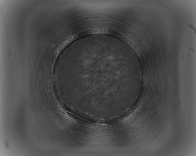 X0000093120721200709261327