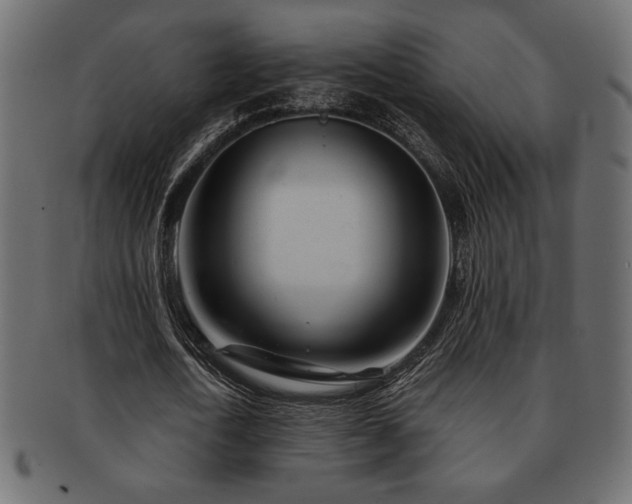 X0000093120722200709261327