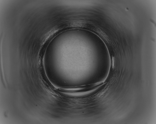 X0000093120723200709261327