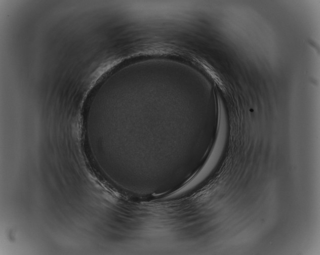 X0000093120724200709261327