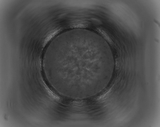 X0000093120725200709261327