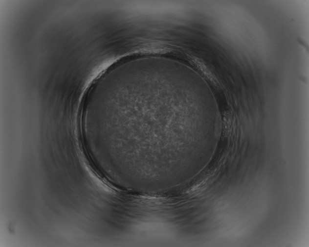 X0000093120726200709261327