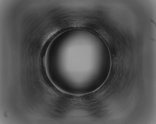 X0000093120727200709261327