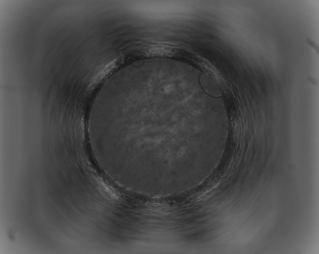 X0000093120729200709261327