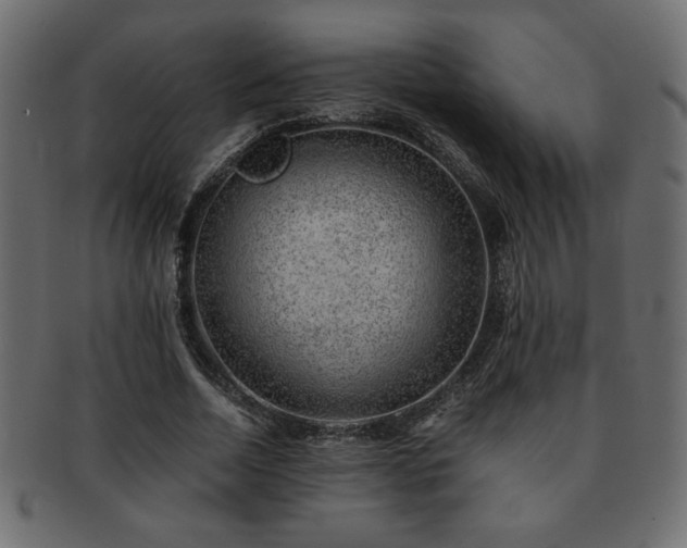 X0000093120730200709261327