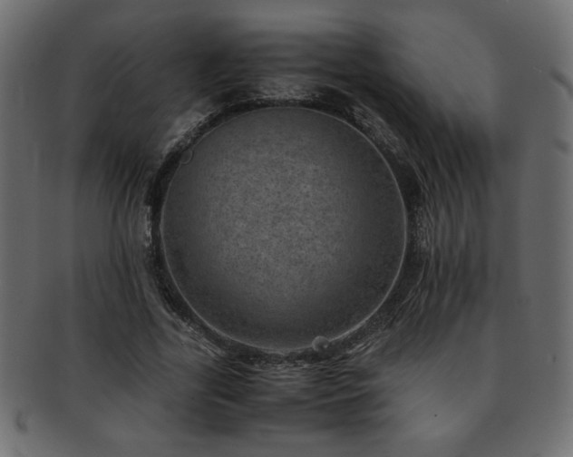 X0000093120731200709261327