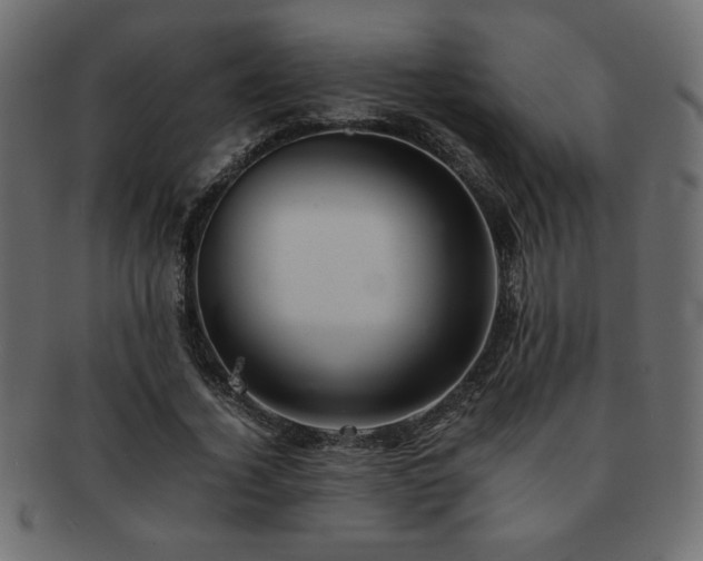 X0000093120732200709261327