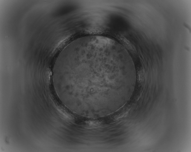 X0000093120733200709261327