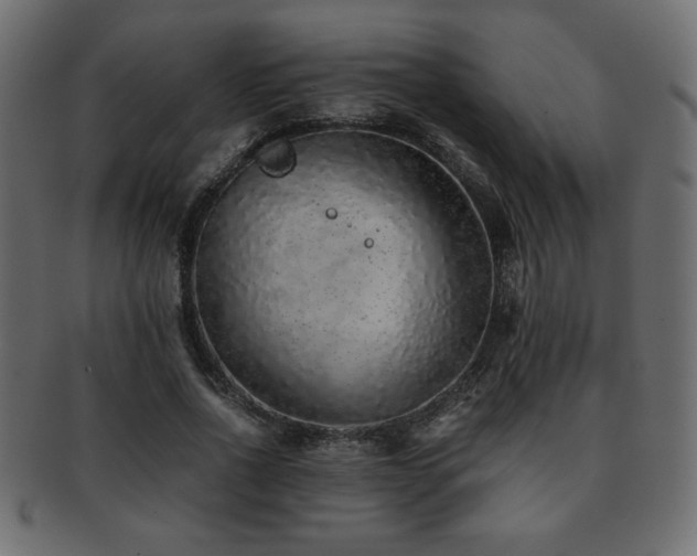X0000093120734200709261327