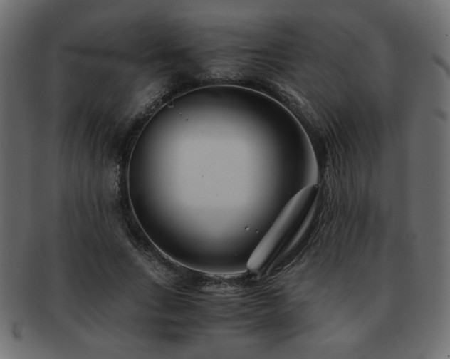 X0000093120735200709261327