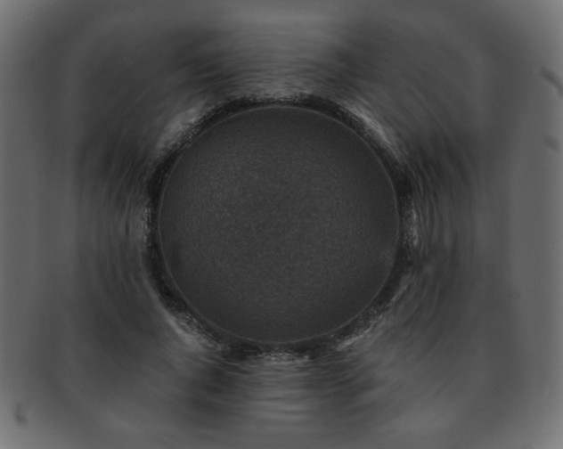 X0000093120736200709261327