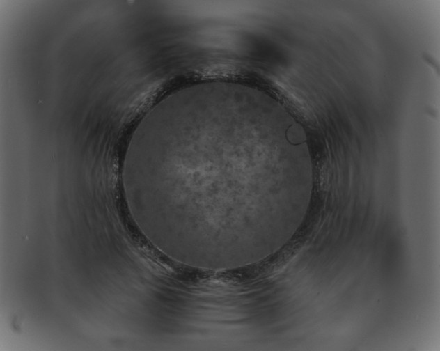 X0000093120737200709261327