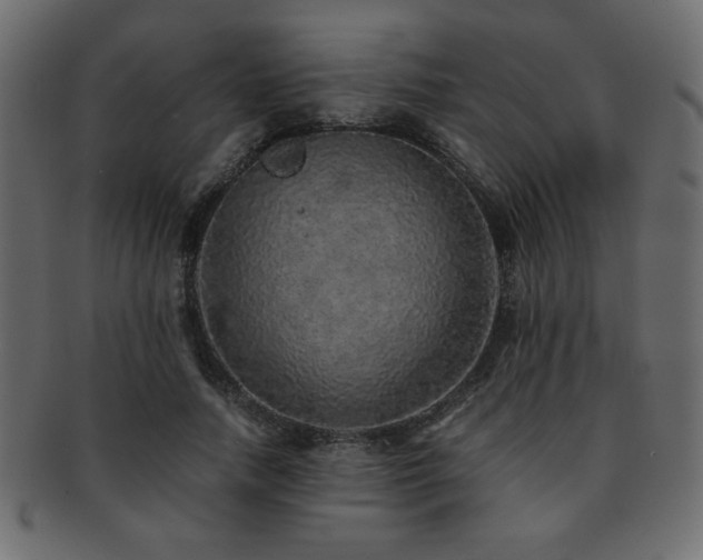 X0000093120738200709261327